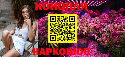СК Обь