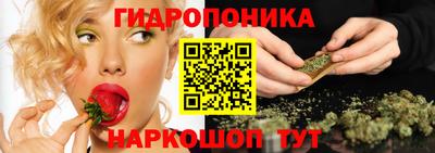 СК Обь