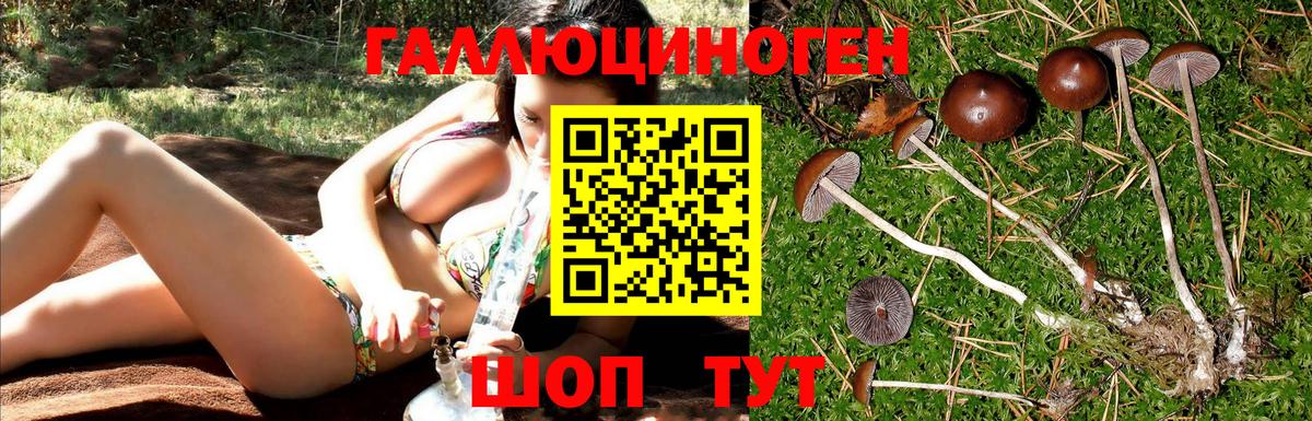 Серпухов  Галлюциногенные грибы мухоморы  Вход с VPN 